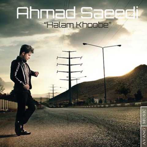 آهنگ احمد سعیدی حالم خوبه