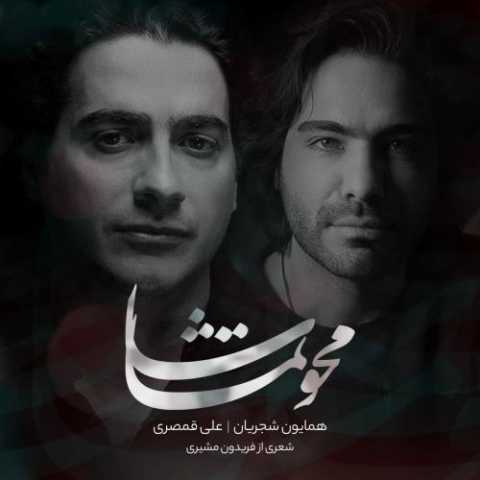 آهنگ همایون شجریان و علی قمصری محو تماشا